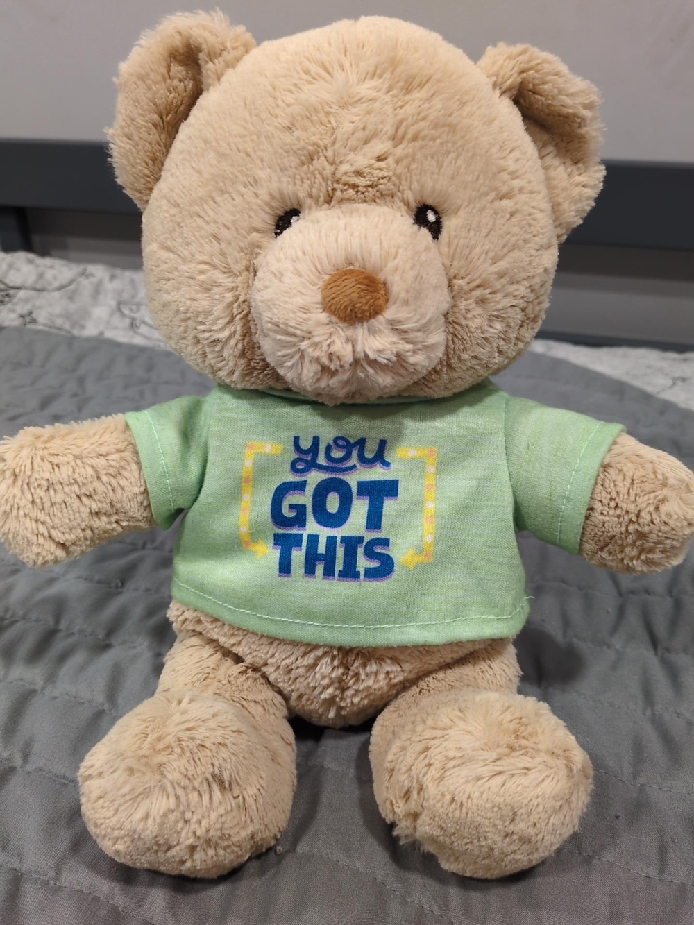GUND You Got This Message Bear Plush 11" Tan Teddy Green Shirt #6068192